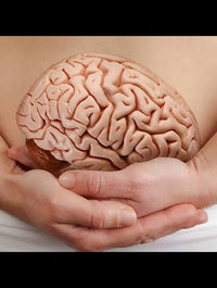 Talk santé : l'intestin, le deuxième cerveau du corps humain avec Didier - Respire