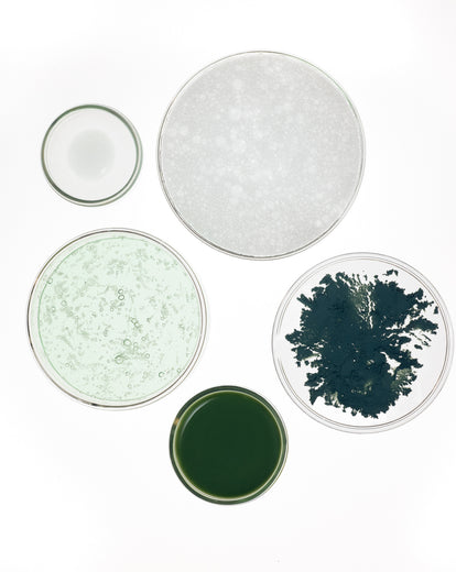 Rutina SOS Imperfecciones